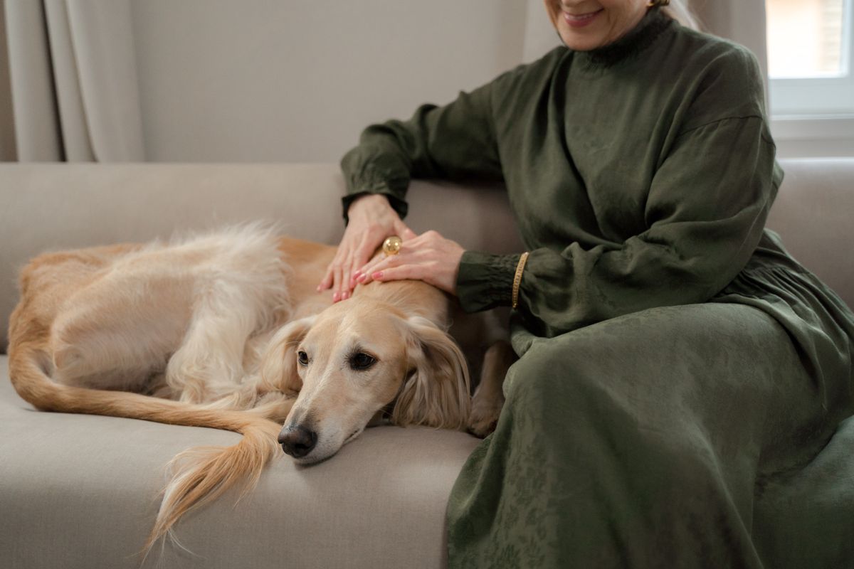 A woman gently pets her dog on the sofa