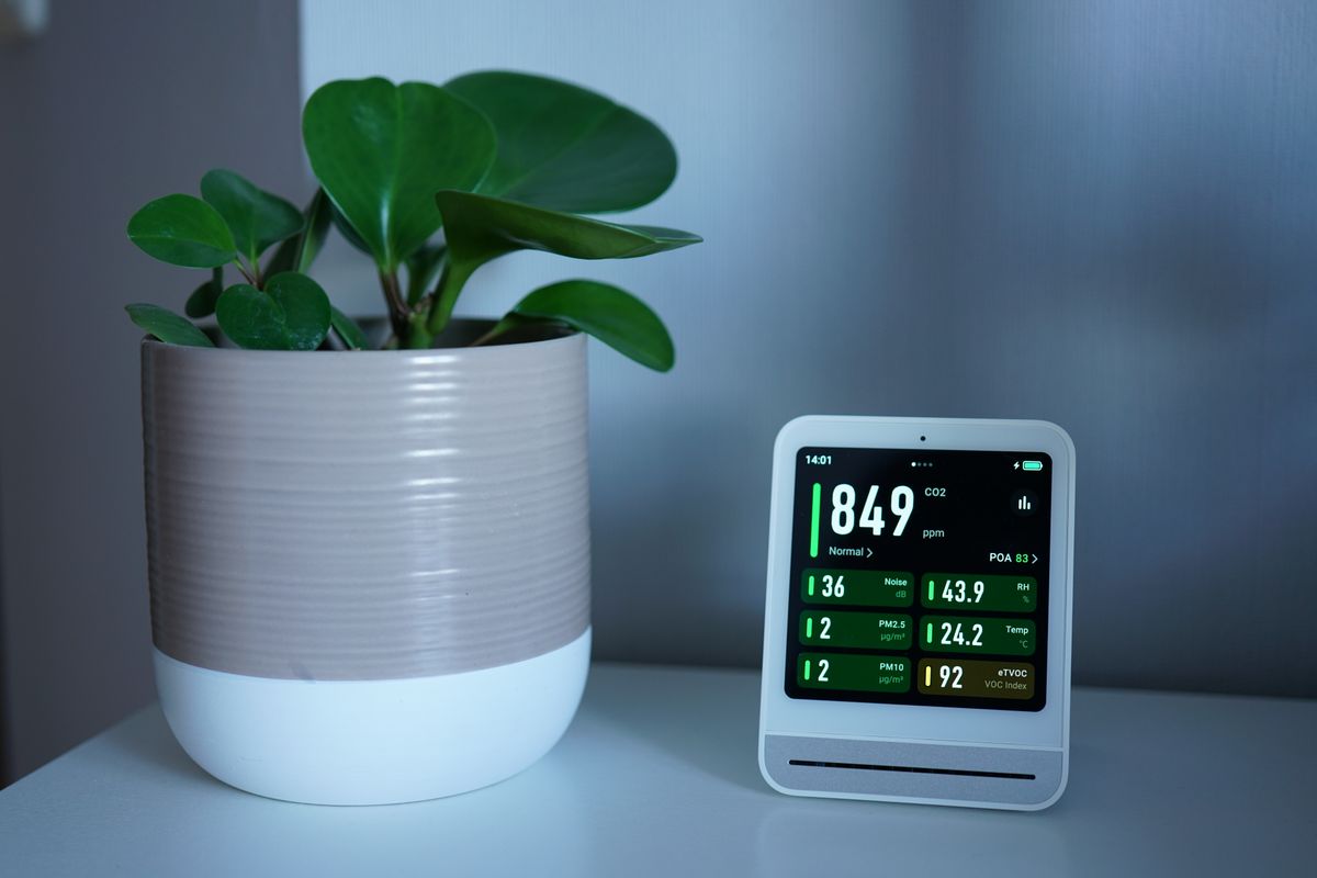 An air quality monitor beside a potted plant
